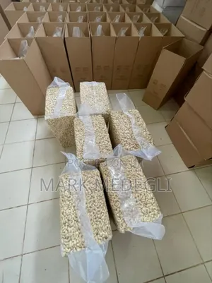 Cashew Kennel Available in Accra Ghana for Sale