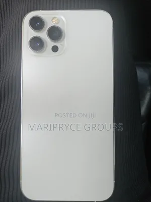 Apple iPhone 12 Pro Max 256 GB Silver