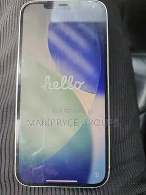 Apple iPhone 12 Pro Max 256 GB Silver