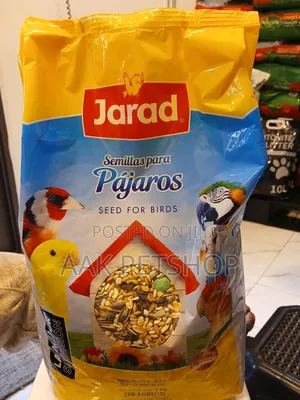 Seed for Birds