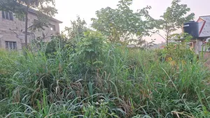 Land at Adubinsu-Biaa for Sale