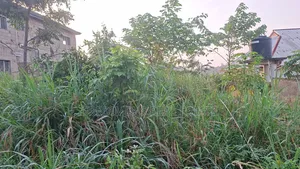 Land at Adubinsu-Biaa for Sale