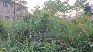 Land at Adubinsu-Biaa for Sale