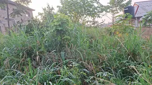 Land at Adubinsu-Biaa for Sale