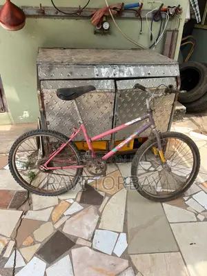 Mini Bicycle