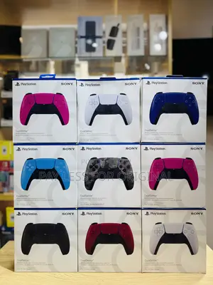 Ps5 Controller