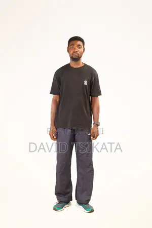 Dispatch Rider,Electrician and Painter