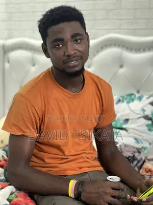 Dispatch Rider,Electrician and Painter