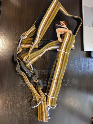 Harnesses Leash