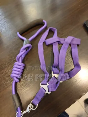 Leash and Harness