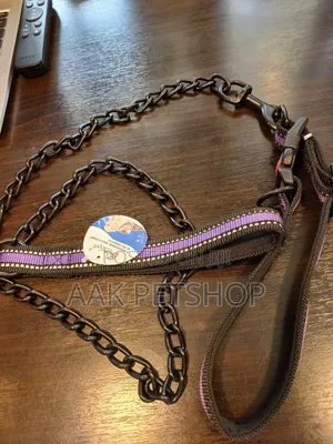 Metal Black Leash and Collar