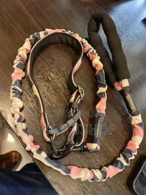 Material Leash and Collar