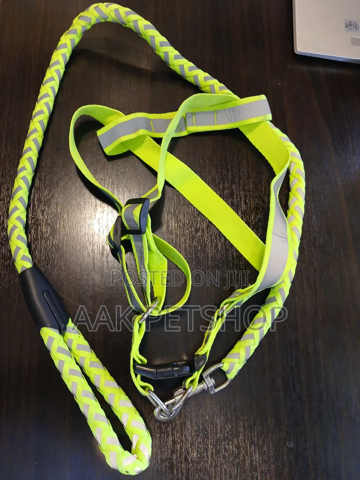 Reflecter Leash and Harness