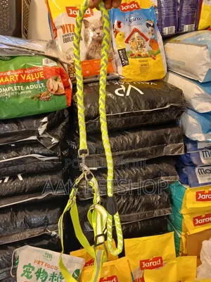 Reflecter Leash and Harness
