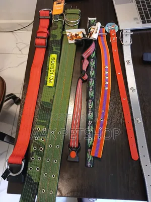 Collar for Dogs