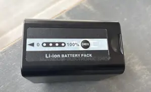 Panasonic Vw -Vbd78 Rechargeable Lion Battery Pack