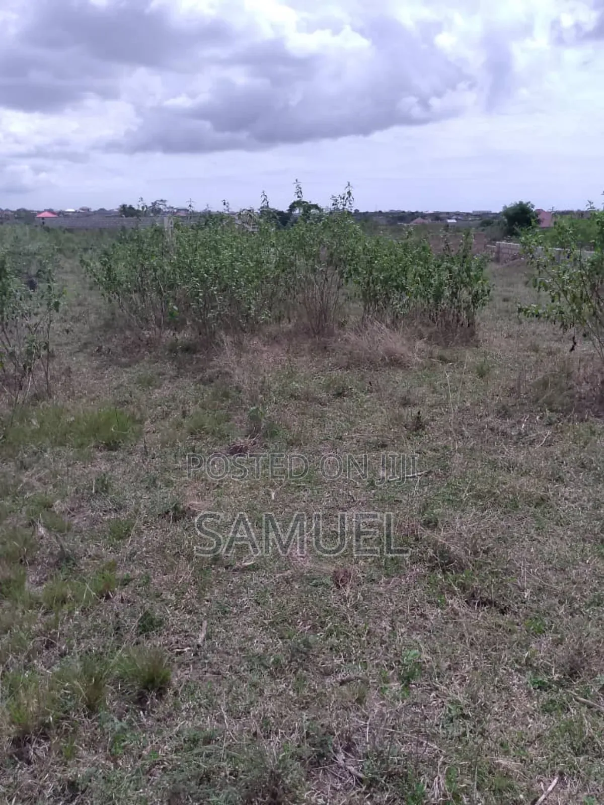 Land for Sale at Kasoa Pentecost Convention Center