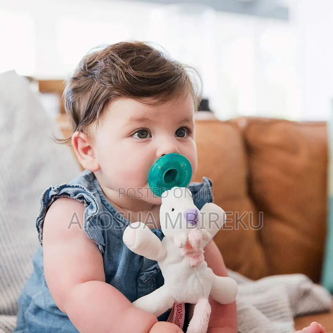 Wabanub Pacifier