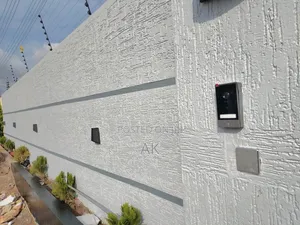 Best Graffiato Paint