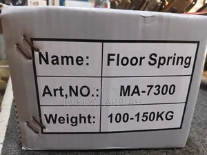 Floor Spring Pivot Hinges (100-150kg )