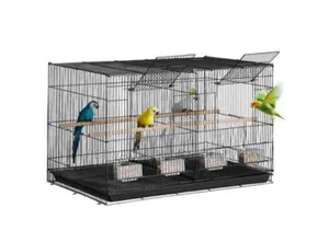 Double Metallic Bird Cage