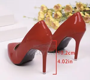 Pointed Toe Stiletto Heels- Women Shoes