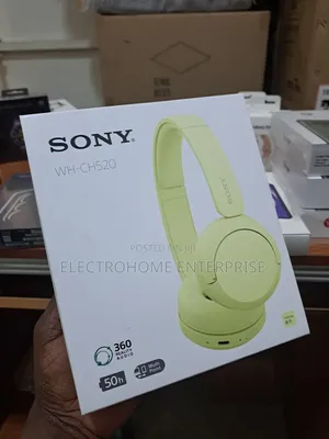 Sony Wh-ch520