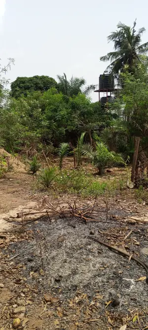 Land for Sale Around East Cantonments