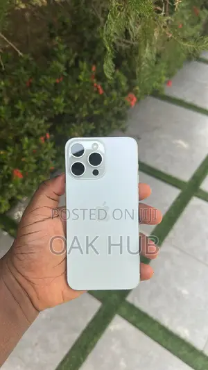 Apple iPhone 15 Pro Max 256 GB Gray