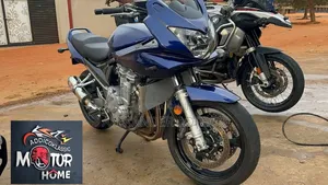 Suzuki 2010 Blue