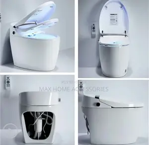Electric Water Closet
