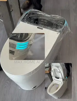 Electric Water Closet