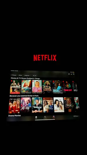 Netflix Account 1 User 12months