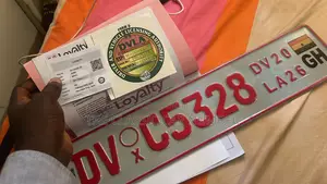 2026 Dv With 1 Year Insurance