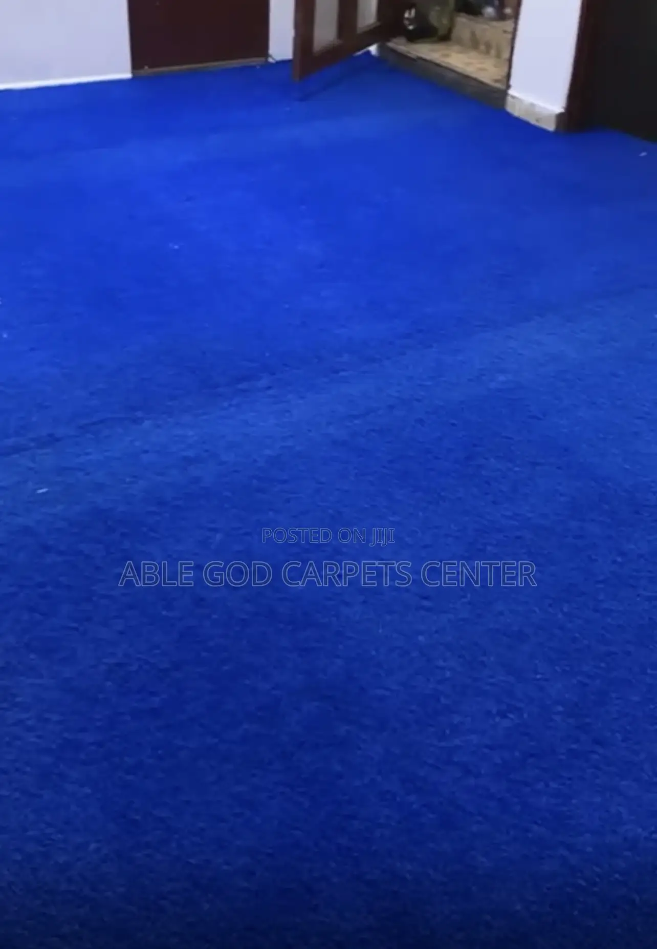 Artificial Blue Grass Carpets/Blue Astroturf