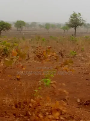 Some Plots of Land at Sanga for Sale