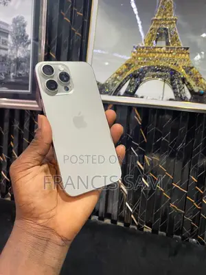 Apple iPhone 15 Pro Max 256 GB Silver