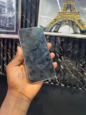 Apple iPhone 15 Pro Max 256 GB Silver