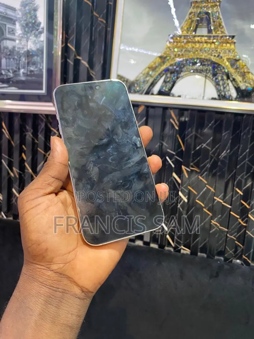 Apple iPhone 15 Pro Max 256 GB Silver