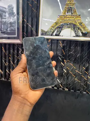 Apple iPhone 15 Pro Max 256 GB Silver