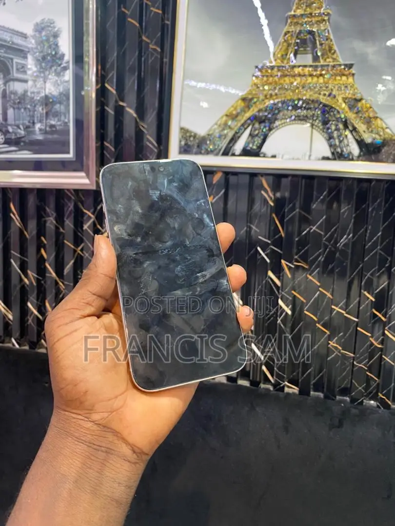 Apple iPhone 15 Pro Max 256 GB Silver