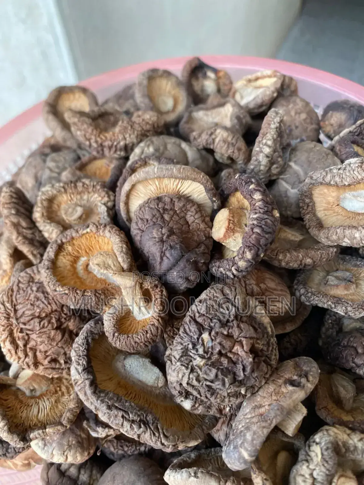 Dried Shiitake Mushrooms