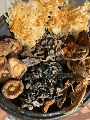 Variety of Mushrroms