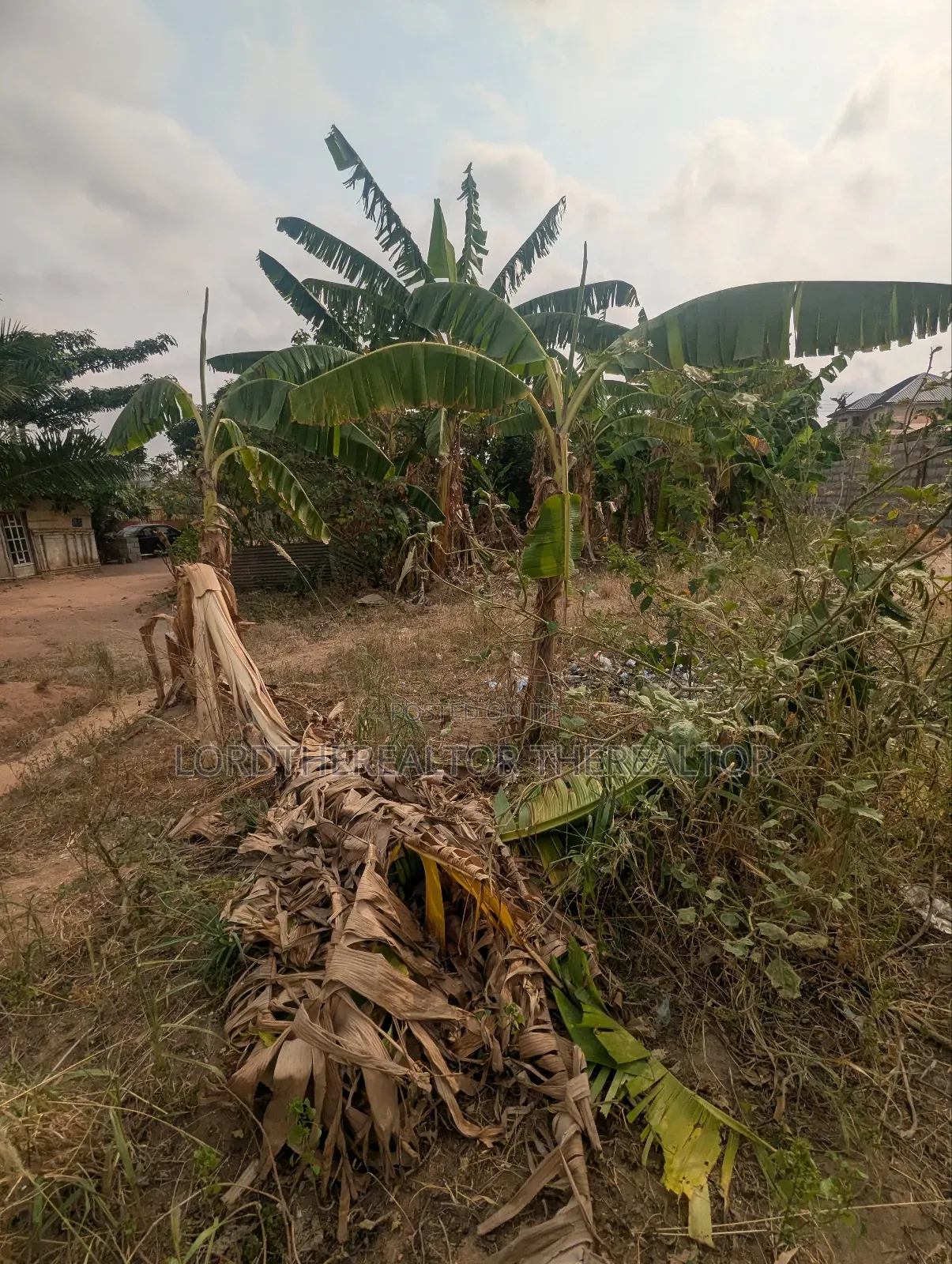 Half Plot for Sale