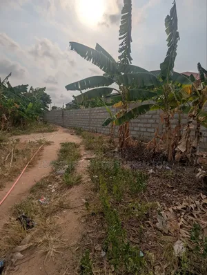 Half Plot for Sale