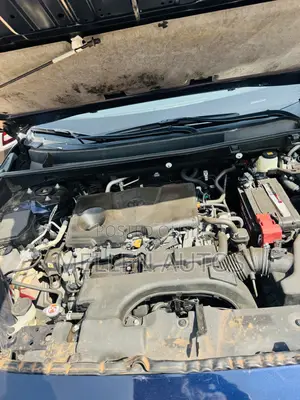 Toyota RAV4 XLE 2021 Blue