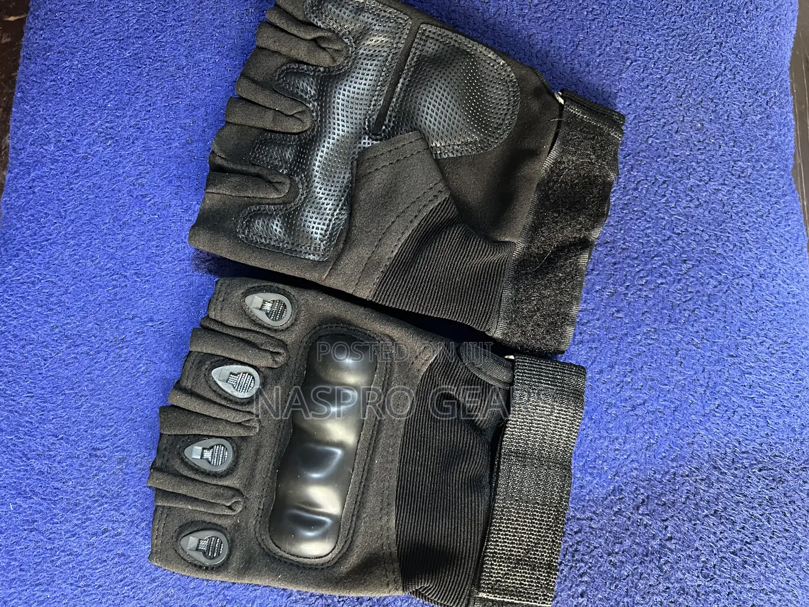 Gym / Motor Gloves