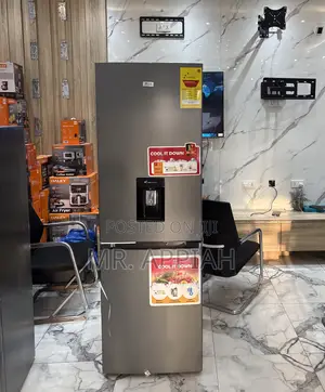 Shop Zara-40bfwd 2 Door Electric Refrigerator With Water Dispenser