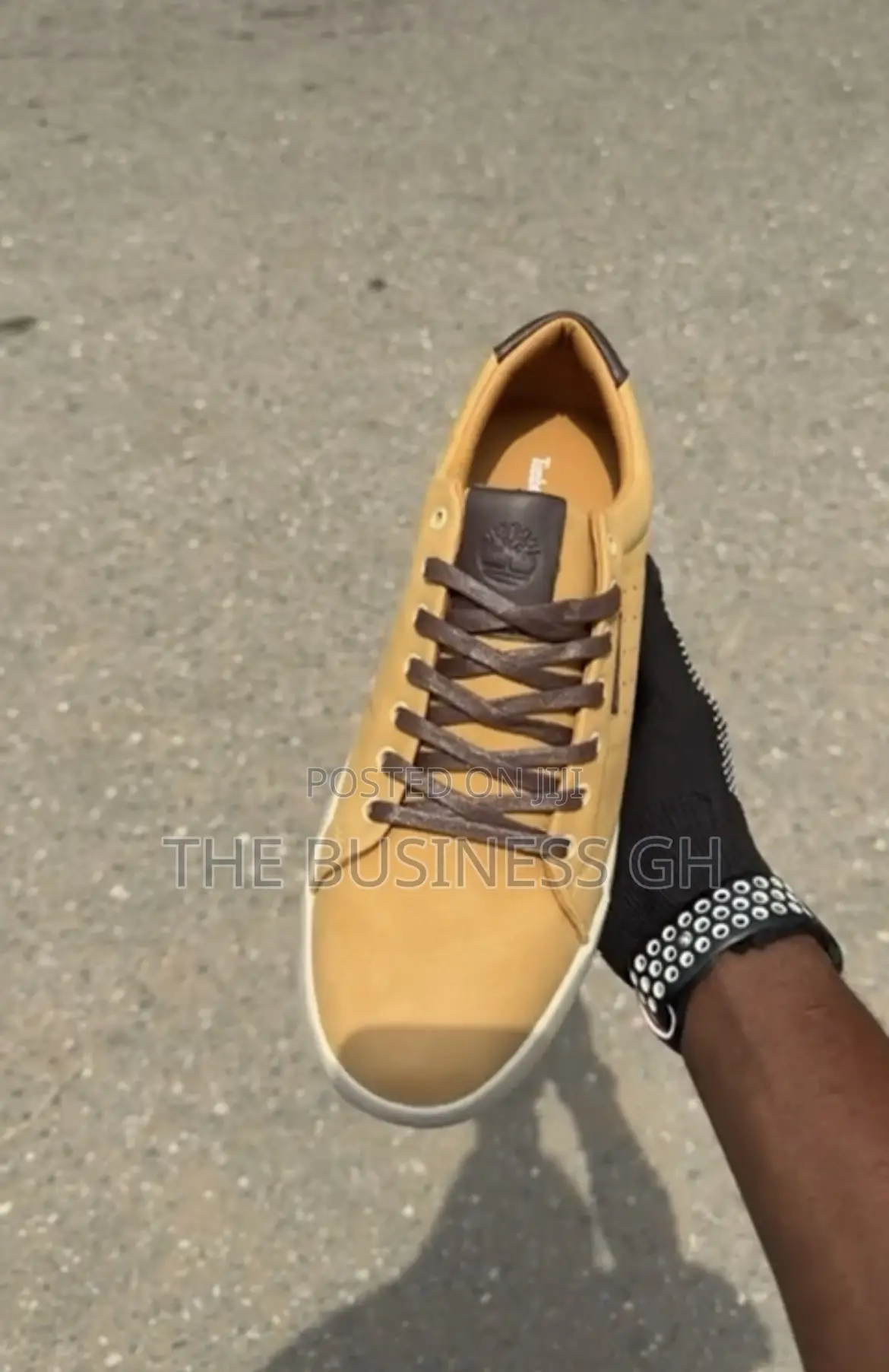 Timberland Sneakers