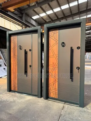 Exclusive Technology Double Locks Security Door